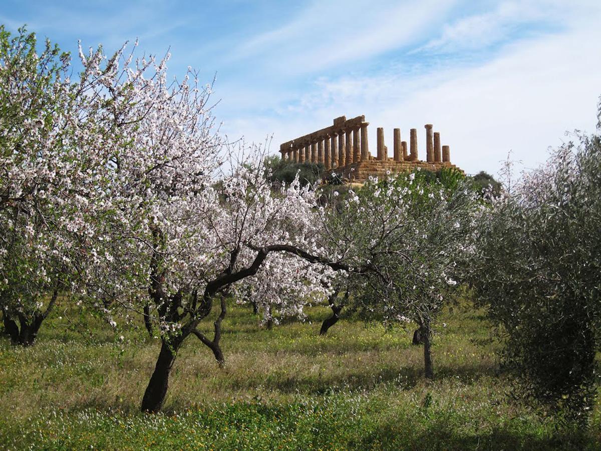 Anima Templi Leilighet Agrigento Eksteriør bilde
